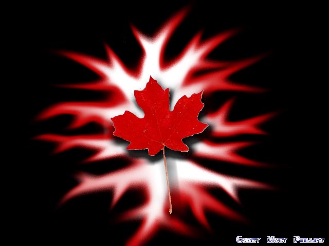 Leaf - Canadian Wallpapers - CKA
