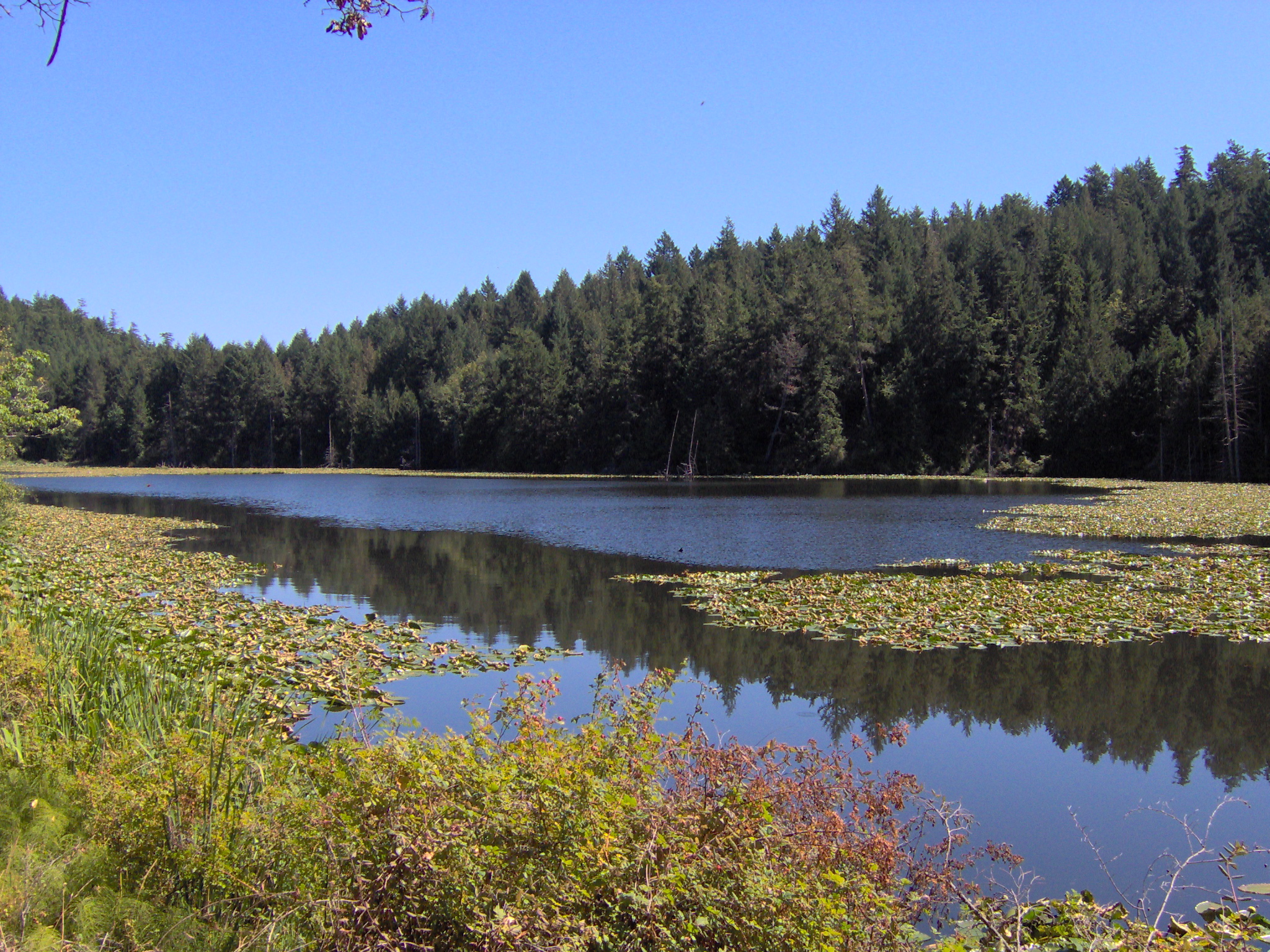Greenburn Lake, Pender Island BC