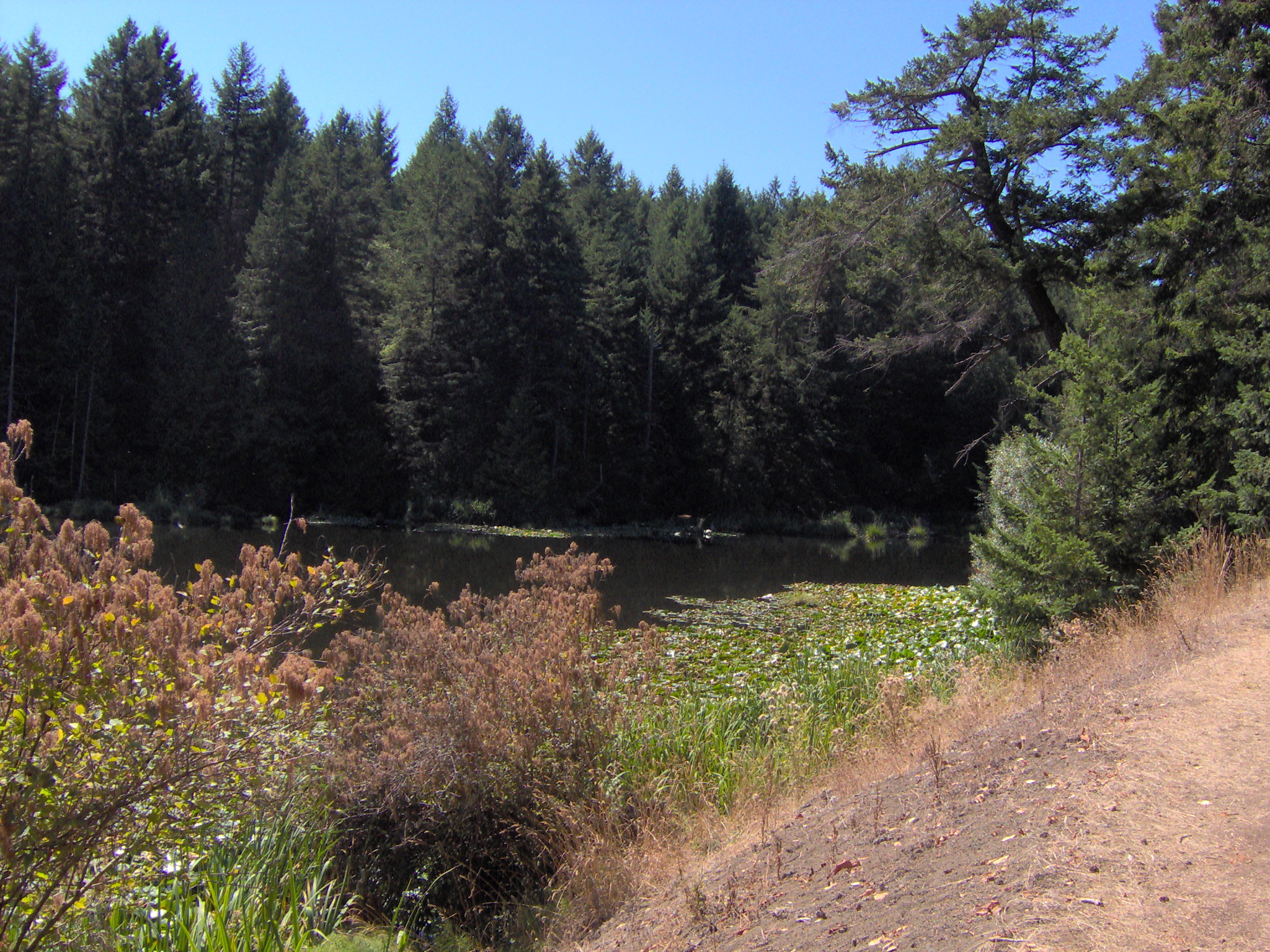 Greenburn Lake, Pender Island, BC