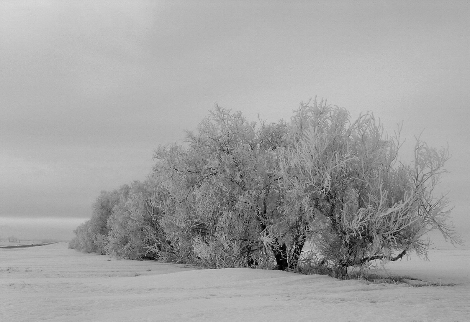 Taken while traveling between 
Calgary and Drumheller