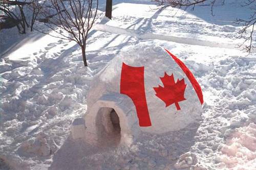 Roscoe built this one in a friends bakyard before he knew how absolutely stupid it was to have this kind of doghouse....he had to pee on it for a long time to get it to thaw....lucky he'd been drinking lots of Canadian wobblies !! 