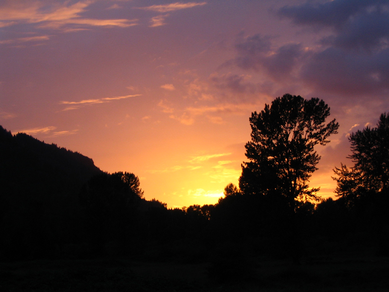 This was a picture I took one evening after work. The sky looked so awesome!