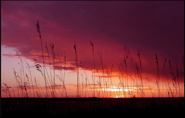 prairie sunset,sask - Saskatchewan Pictures - CKA