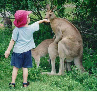 Is Australian food spicy? You bet it is!