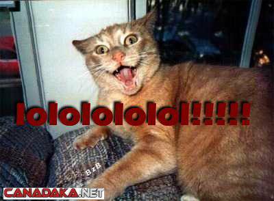 LOLOLOLOL