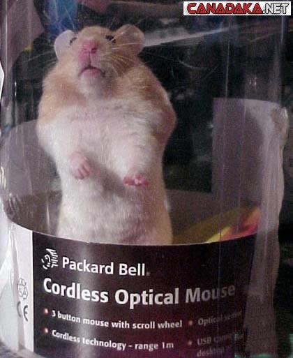 I just don't want to know how you install the BATTERIES !!!