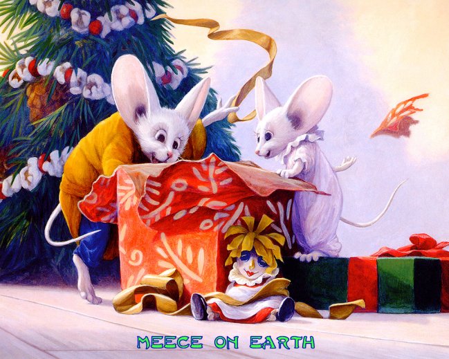 Xmas-The Package