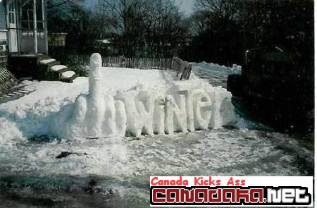 Ya I am Canadian but %$%$^& WINTER !