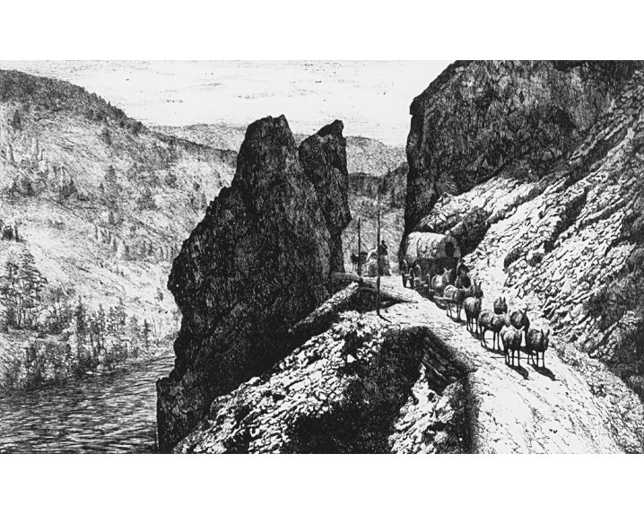 Mule team and wagon at the Great Bluff along the Thompson River in British Columbia 
