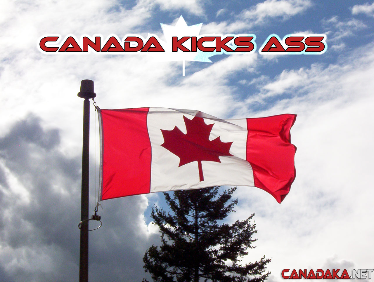 Canada Kicks Ass Canadian flag wallpaper