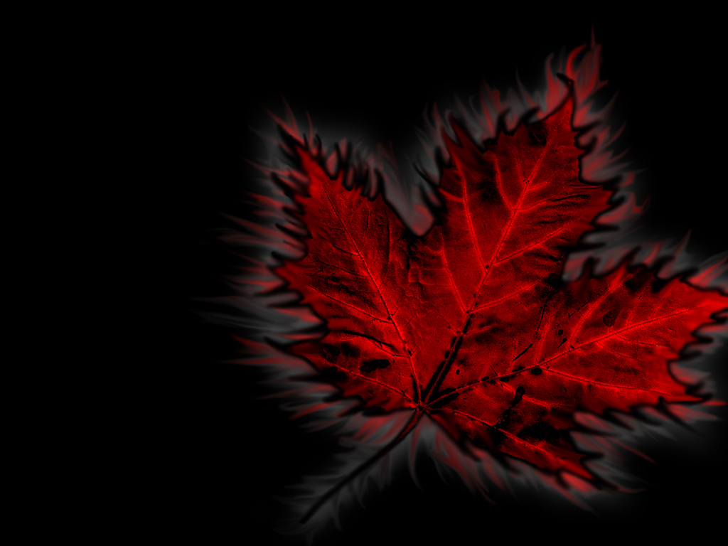 Just a little something I whipped up for Canada Day.  It isn't exactly how I visioned it, but I like it just the same. =)