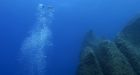 World's oceans losing oxygen, threatening marine life, study finds