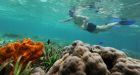 Indonesia to take action after cruise ship destroys coral reefs