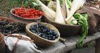 If youre a European, your body requires more vegetables and grains