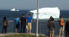 Unusually large swarm of icebergs blocking shipping lanes