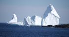 Massive iceberg on Newfoundland's Southern Shore attracts shutterbugs
