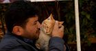 'Cat Man of Aleppo' Forced to Start Again � From Scratch