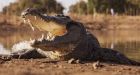 Pastor eaten by crocodiles demonstrating Jesus' water walk