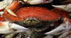 Ocean acidity increasing along Pacific coast, study finds