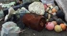 'It's heartbreaking': volunteers overwhelmed by marine debris in Clayoquot Sound