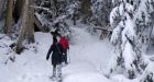 More than a few acres: the vital importance of snow to B.C.'s climate