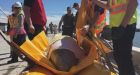 Beluga rescued from N.B. river swims towards possible reunion with pod: group