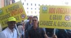 Italy's farmers 'demonizing' Canadian wheat in bid to protect domestic industry