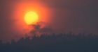 Calmer weather helping B.C. firefighters, but winds expected to return