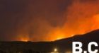 Police recover $65,000 in goods stolen from fire evacuation zone