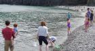 Middle Cove magic: Capelin frenzy begins as fish finally start rolling