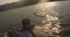'Just a fantastic feeling': Entangled humpback rescued off B.C. coast