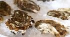 Pacific oysters recalled due to toxin causing paralytic shellfish poisoning