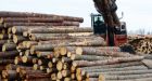 Canada taking fight with U.S. over softwood lumber duties to WTO