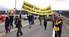 Protesters object to development of Cape Breton mountain sacred to Mi'kmaq