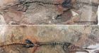 'It's amazing': Boy helps University of Alberta paleontologists discover 90-million-year old fish species