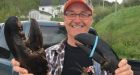 He's not shellfish: N.L. fisherman gets catch of a lifetime, and lets it go