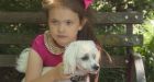 Eight-year-old girl takes her dog for a walk. Neighbour calls police, then child welfare officials