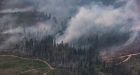 Wet weather means all types of burning, forest use, OK in two B.C. fire centres