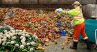 Grocers, innovators work to save $31B in food from being trashed in Canada each year