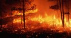 'Unleash Hell': New Al Qaeda magazine describes in detail how to start huge forest fires across the U.S