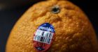 How produce stickers contribute to climate change