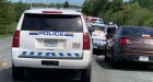 Dog that was on the loose after fatal attack in Middle Musquodoboit is now dead