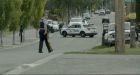 Man dead after dog attack in Kamloops