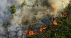 Groups urge Ottawa to abandon trade talks with Brazil over Amazon fires