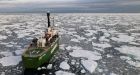 Arctic sea ice shrinks to 2nd lowest level in 4 decades