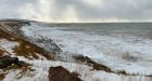 Record-low ice levels found in Gulf of St. Lawrence