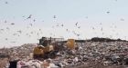 Alberta to begin formal consultations for shifting recycling costs to producers