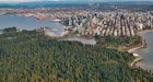 Vancouver is at risk for an out-of-control brush fire: Vancouver Fire Services department | CTV News