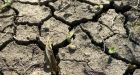 Morden restricts water usage as southern Manitoba city declares extreme drought