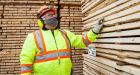 Lumber crash leads to 'blowout' sales as prices crater
